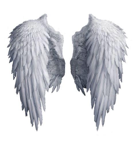 wings png transparent|realistic angel wings png.